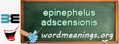 WordMeaning blackboard for epinephelus adscensionis